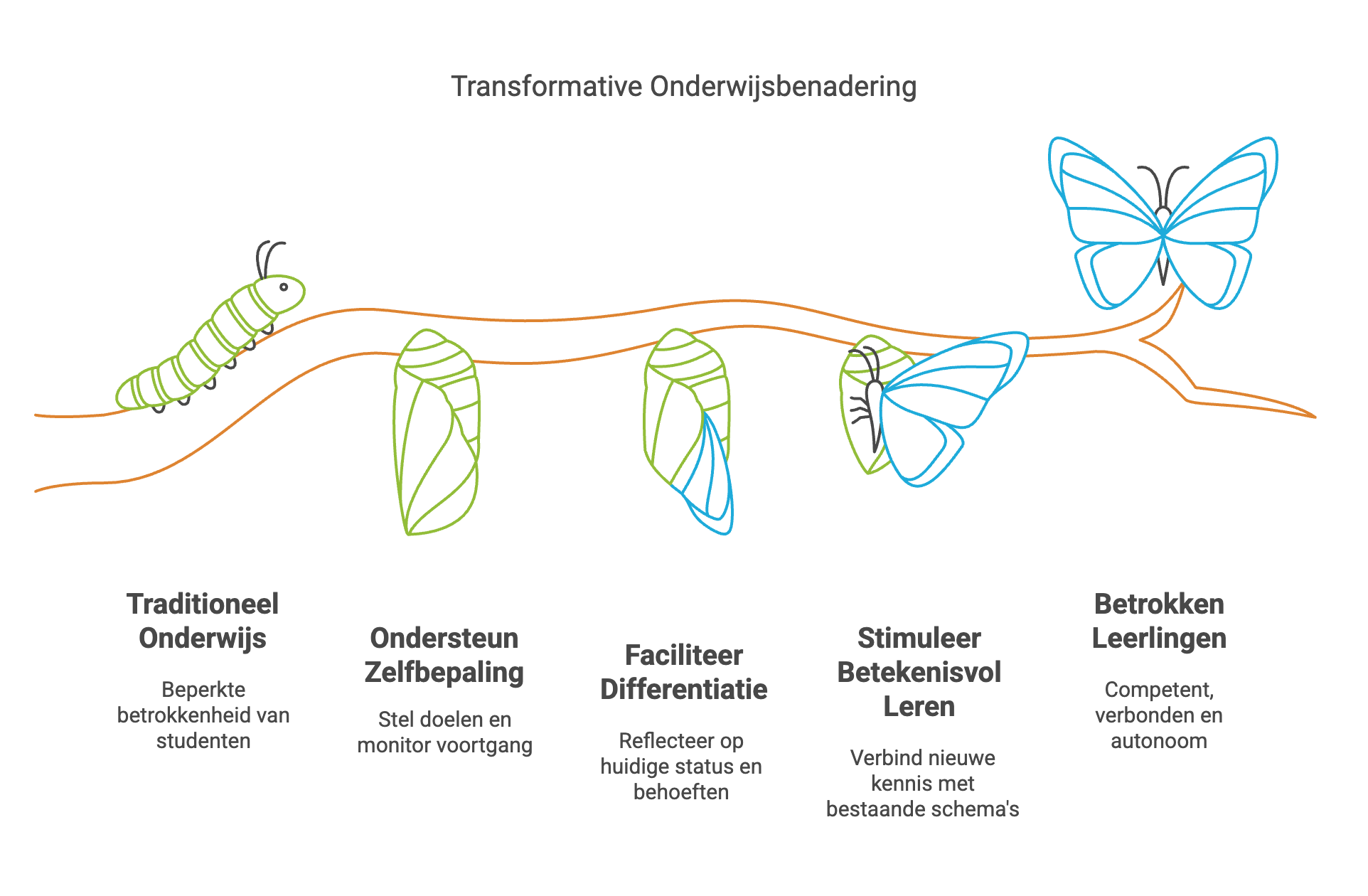 effecten van formatief handelen