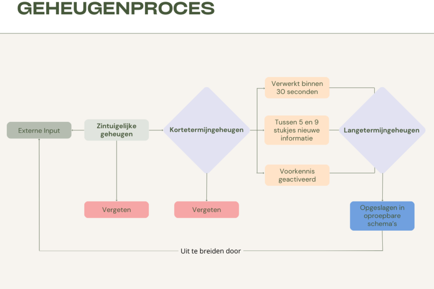 Cognitive Load Theory in de klas