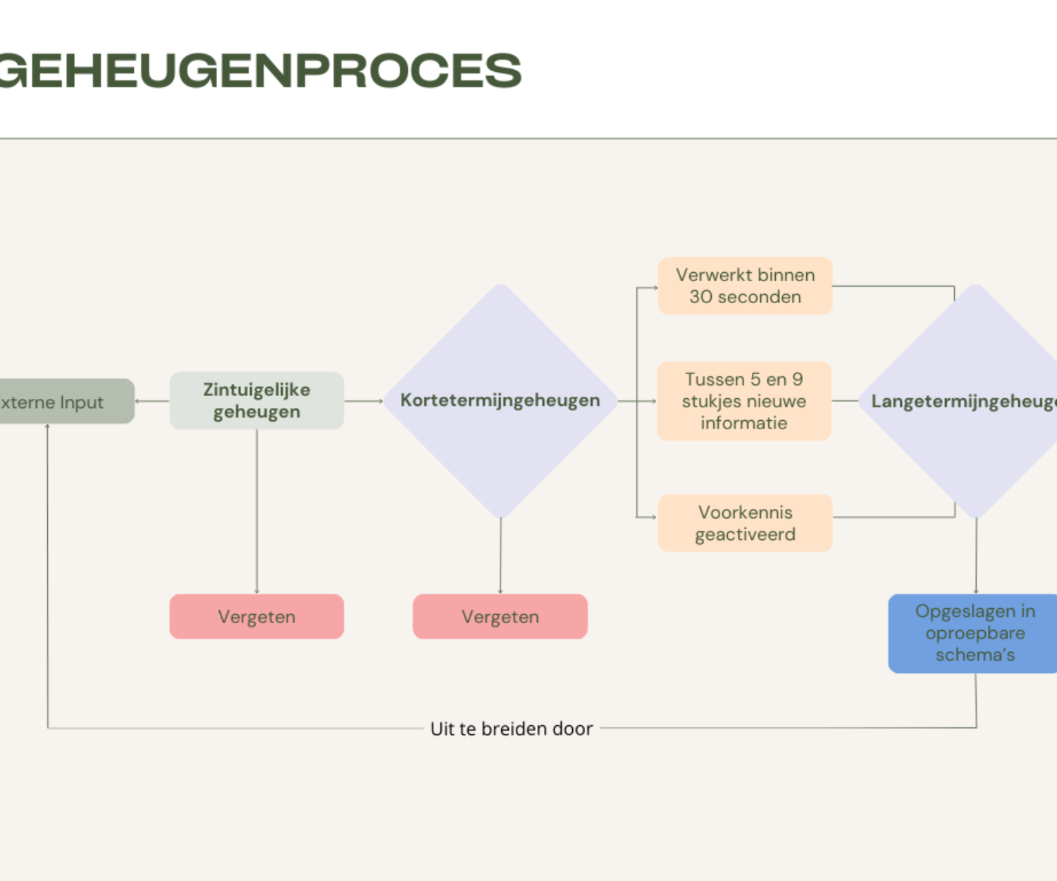 Cognitive Load Theory in de klas